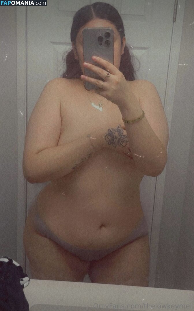 TheLowkeyMel / theofficiallmel Обнажённый OnlyFans  Утёкшее фото #12