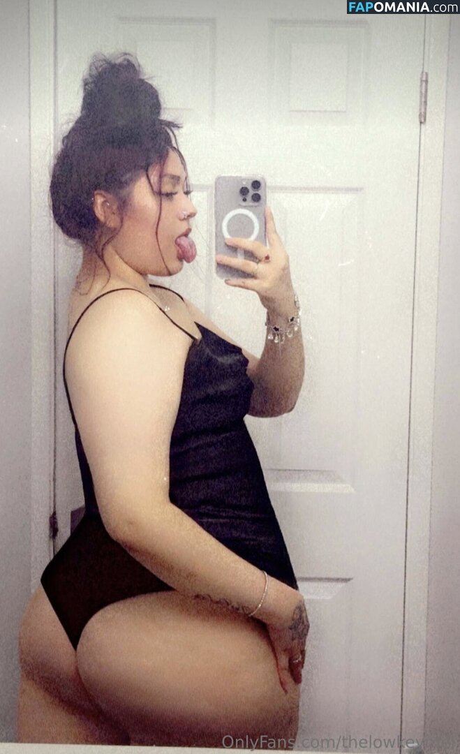 TheLowkeyMel / theofficiallmel Обнажённый OnlyFans  Утёкшее фото #13