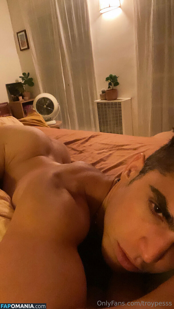 troypes / troypesss Обнажённый OnlyFans  Утёкшее фото #26