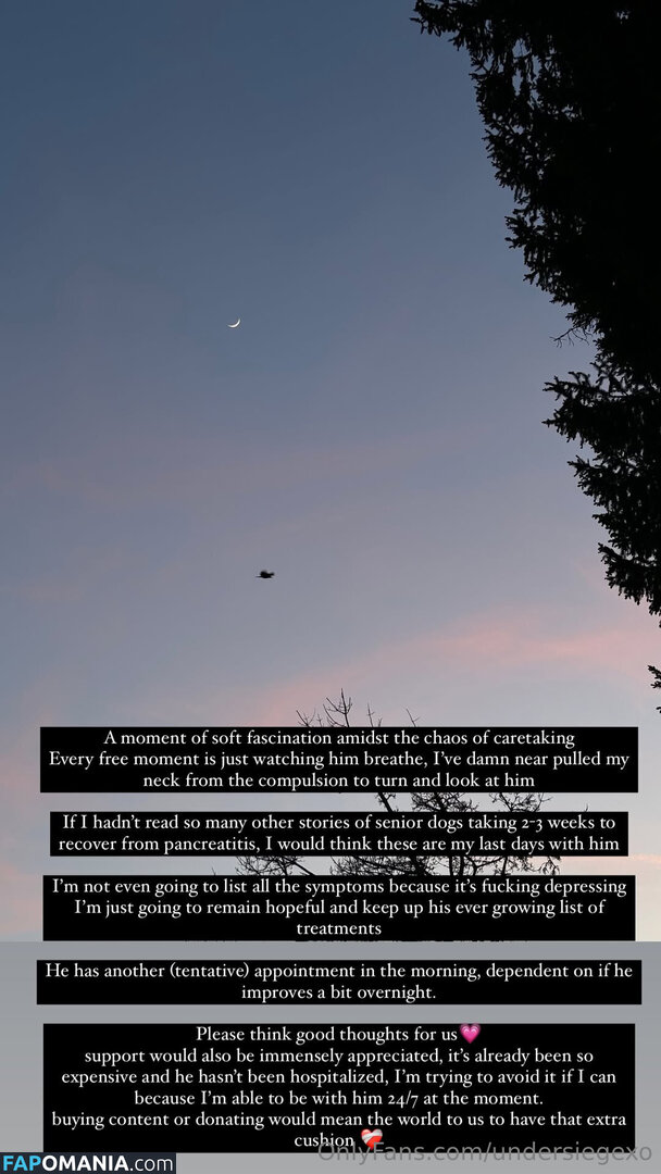 undersiegexo Обнажённый OnlyFans  Утёкшее фото #1