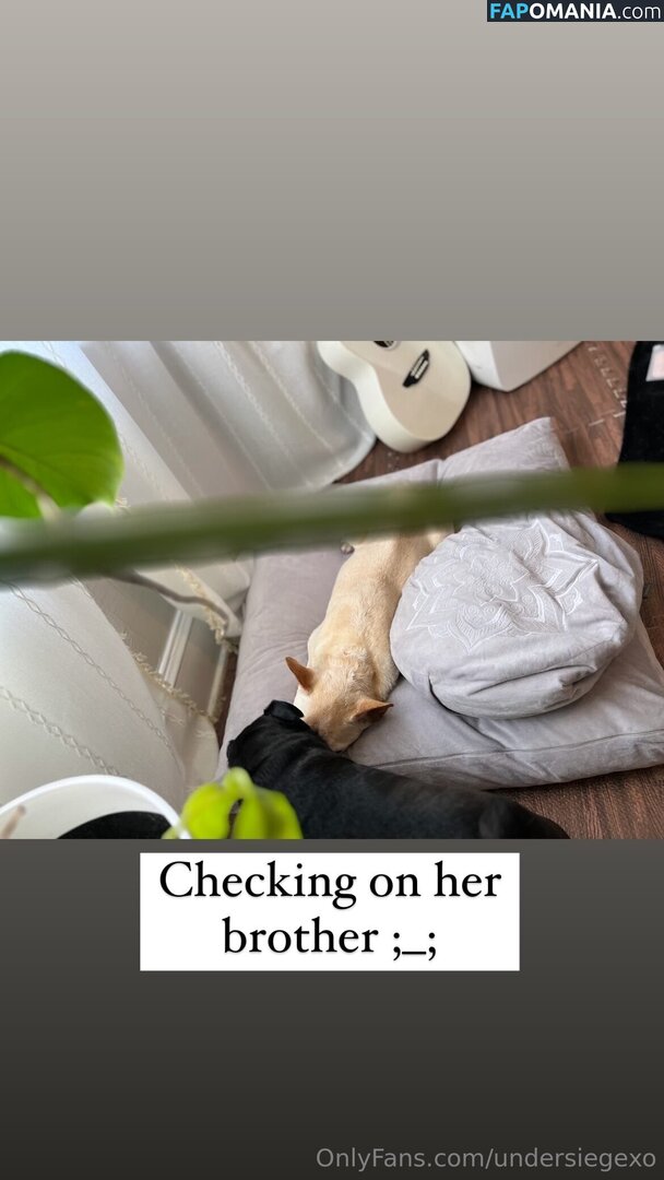 undersiegexo Обнажённый OnlyFans  Утёкшее фото #3