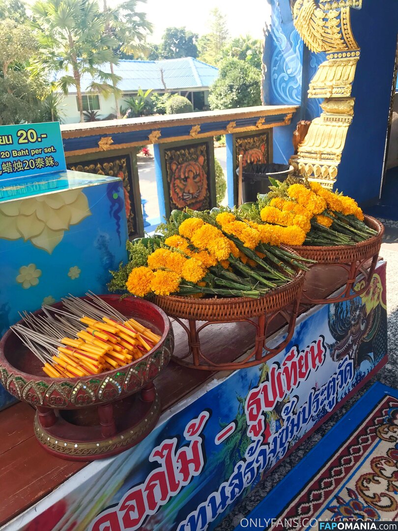 Duang duen / Uptoduen Обнажённый OnlyFans  Утёкшее фото #58