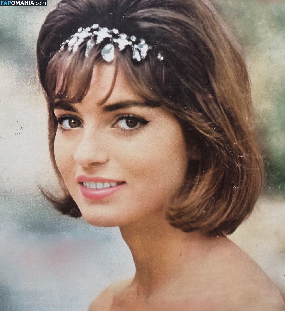 Vintage Starlets Обнажённый OnlyFans  Утёкшее фото #396