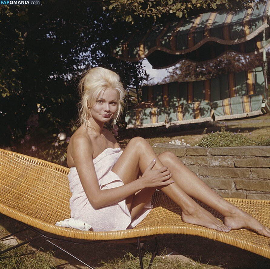 Vintage Starlets Обнажённый OnlyFans  Утёкшее фото #472
