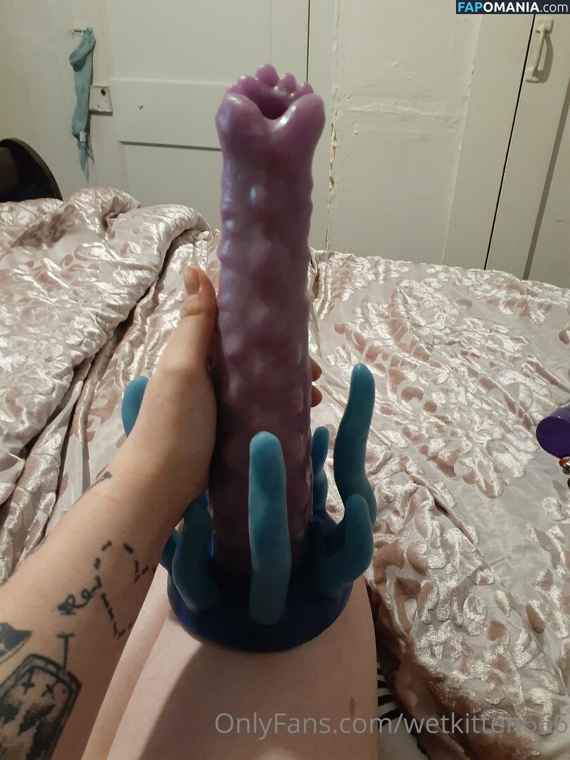 kitty.valentine.92372 / wetkitten666 Обнажённый OnlyFans  Утёкшее фото #13