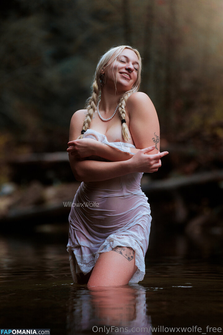 willowxwolfe / willowxwolfe_free Обнажённый OnlyFans  Утёкшее фото #7