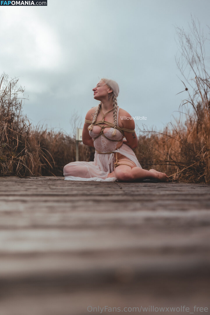 willowxwolfe / willowxwolfe_free Обнажённый OnlyFans  Утёкшее фото #11