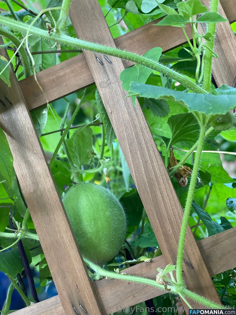 wolfofthewild / wolfofthewildd Обнажённый OnlyFans  Утёкшее фото #8