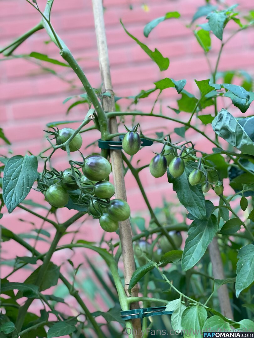 wolfofthewild / wolfofthewildd Обнажённый OnlyFans  Утёкшее фото #9