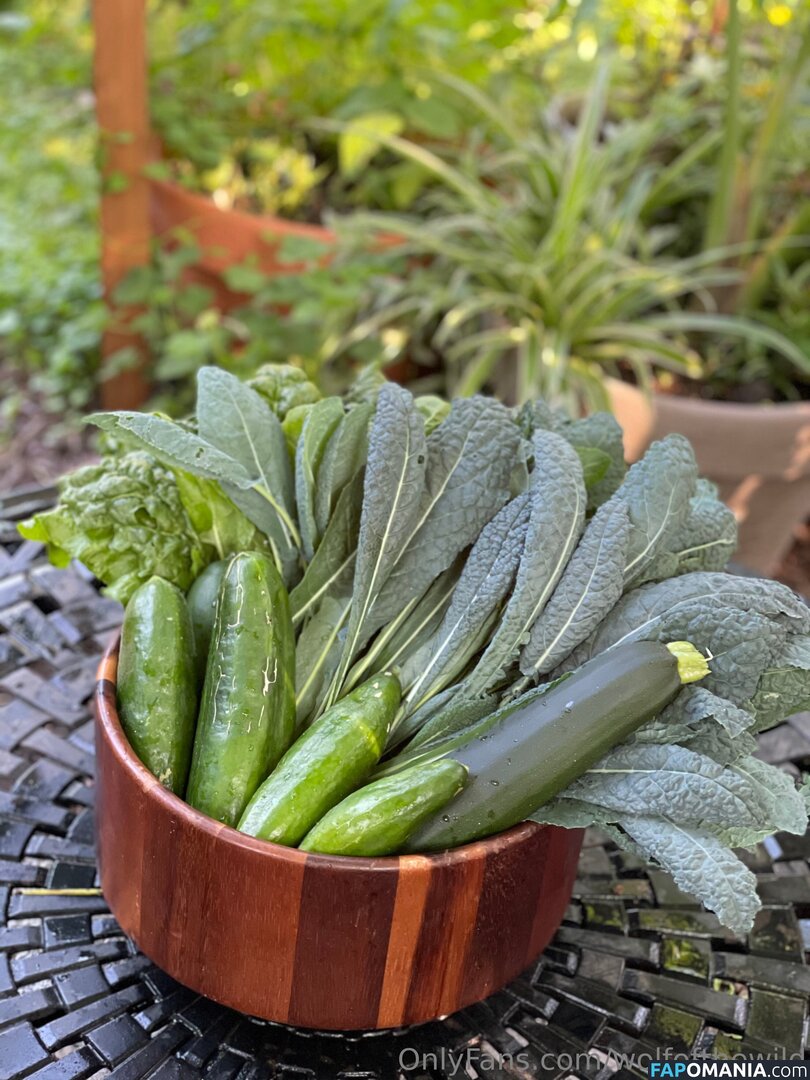 wolfofthewild / wolfofthewildd Обнажённый OnlyFans  Утёкшее фото #10