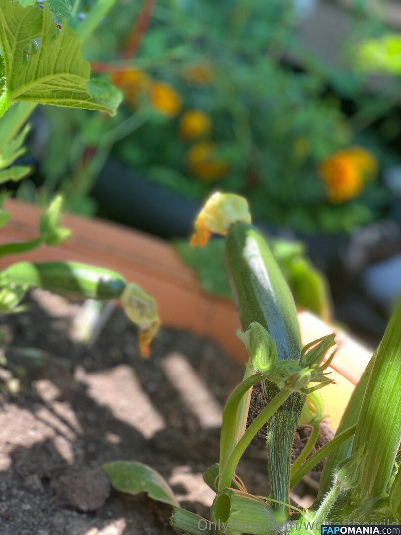 wolfofthewild / wolfofthewildd Обнажённый OnlyFans  Утёкшее фото #13