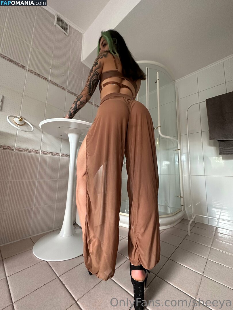Klaudia Kołodziejczyk / Xsheeya / sheeya Обнажённый OnlyFans  Утёкшее фото #8