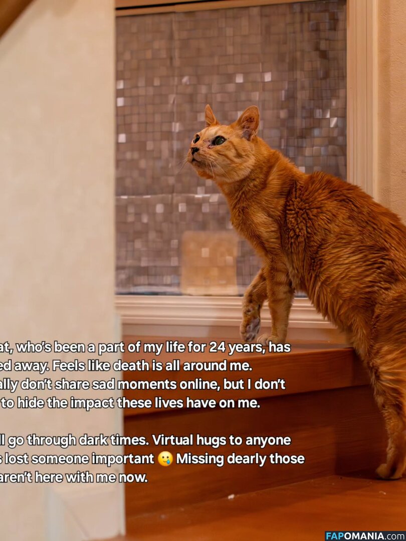 Zumi / zestyzumi Обнажённый OnlyFans  Утёкшее фото #120